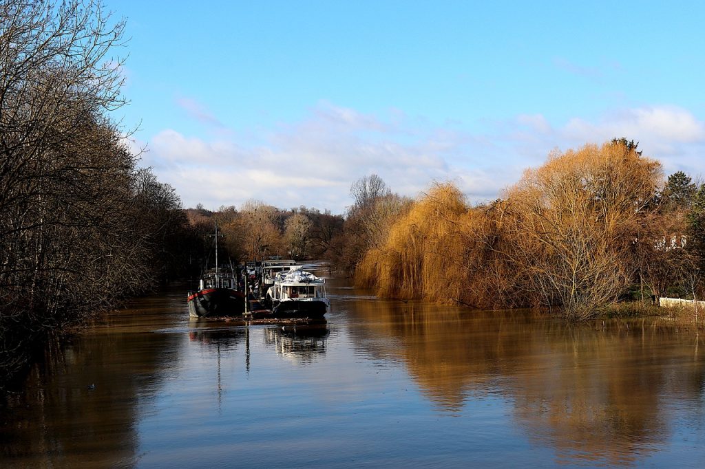 explorez les mystères et la beauté fascinante de 'sous la seine', une aventure immersive qui vous plonge dans les profondeurs de cette majestueuse rivière. découvrez des histoires inexplorées, une faune surprenante et des lieux secrets cachés sous les eaux parisiennes.