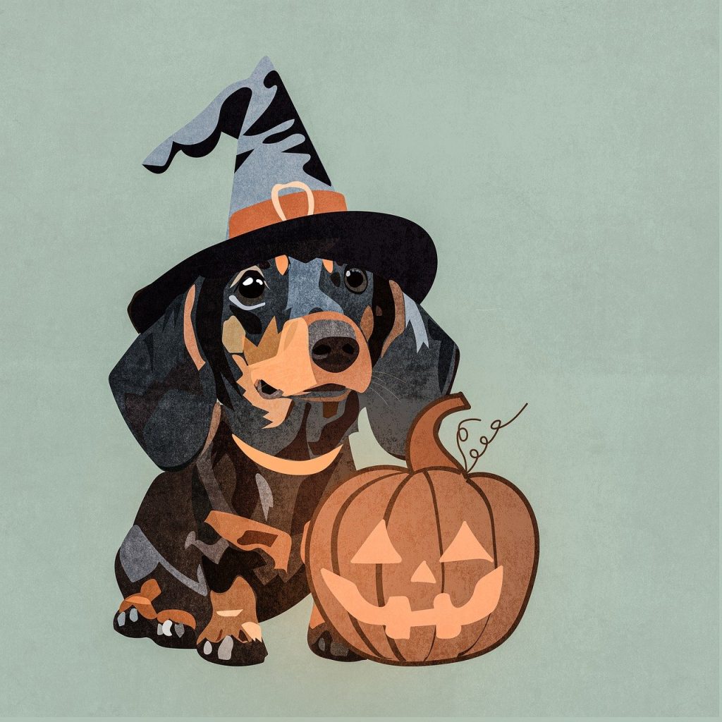 découvrez notre sélection de costumes d'halloween originaux et effrayants pour faire sensation lors de vos fêtes! trouvez le déguisement parfait pour enfants, adultes et même animaux. préparez-vous à célébrer halloween avec style!